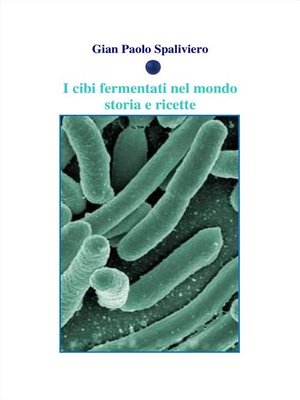 cover image of I cibi fermentati nel mondo--Storia e ricette
